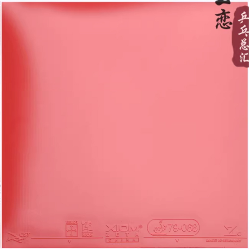 XIOM ZETA CHINA Table Tennis R - огляд і ціна Table Tennis Xiom