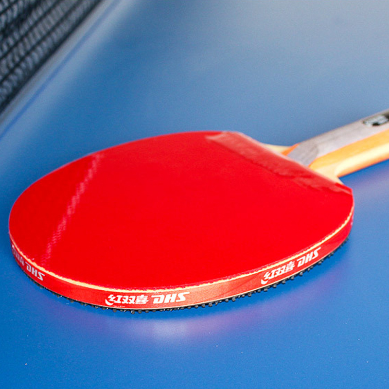 DHS Self-adhesive Table Tennis - огляд і ціна Table Tennis Logo